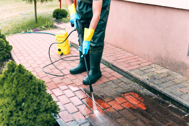 Best Residential House Exterior Washing  in Toccoa, GA